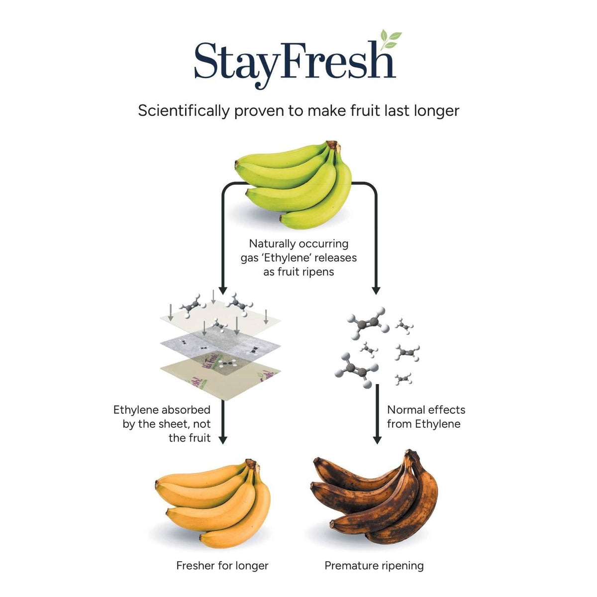 6 StayFresh Sheets with RYPEN Technology
