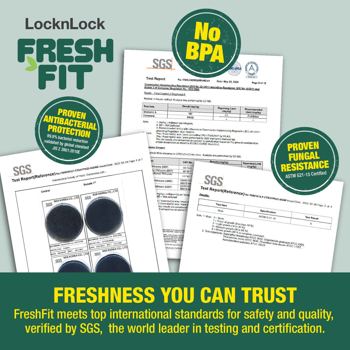 LocknLock FreshFit Food Container 760ml – Set of 2