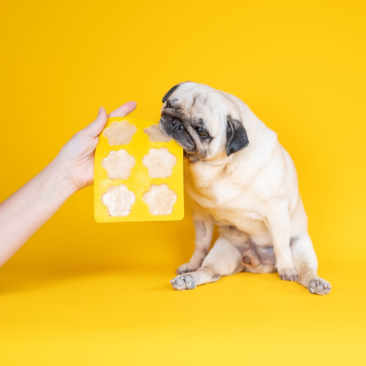 Dog and Bond Doggy Ice Cream Mix - Peanut Butter