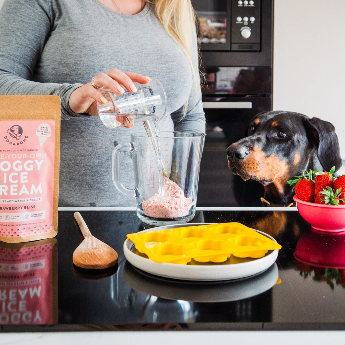 Dog & Bond Doggy Ice Cream Strawberry