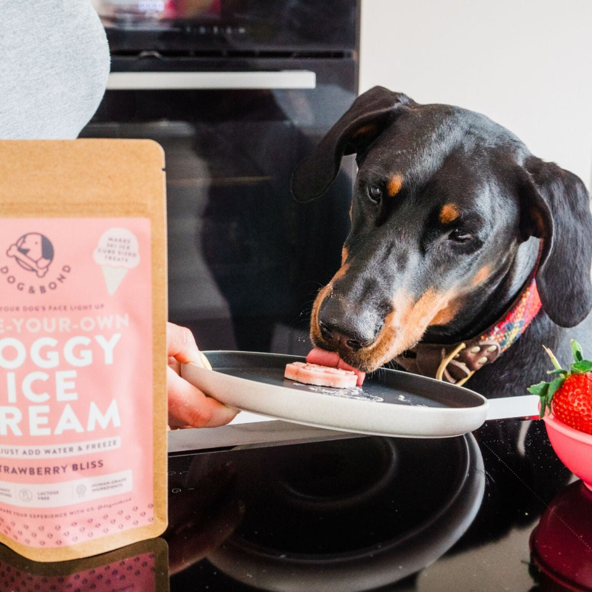Dog & Bond Doggy Ice Cream Strawberry