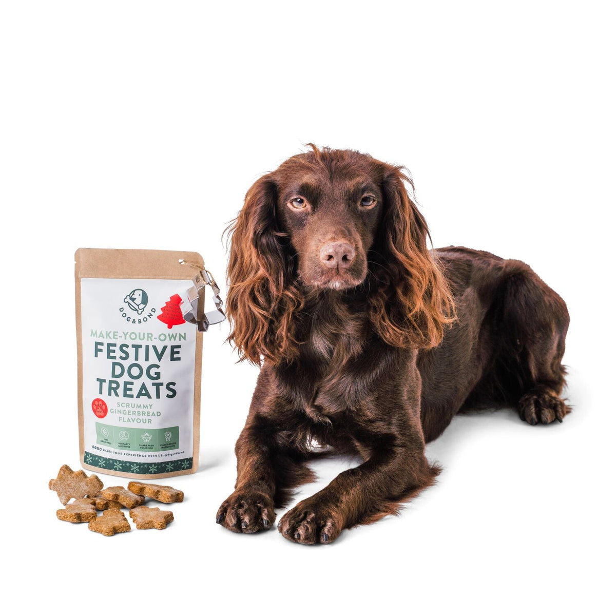 Dog & Bond Gingerbread Treat Mix - 150g
