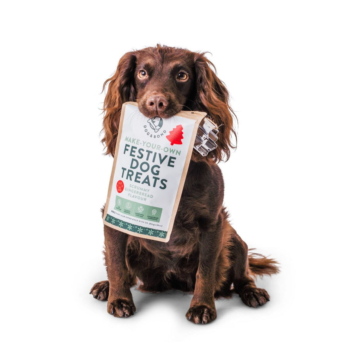 Dog & Bond Gingerbread Treat Mix - 150g