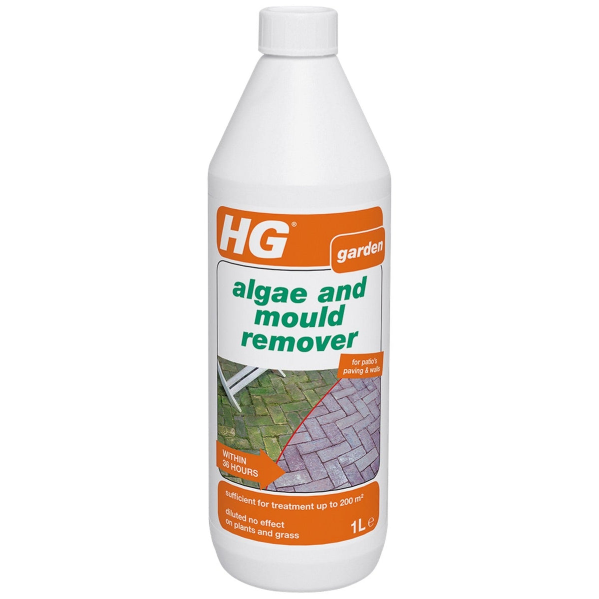 HG Algae and Mould Remover 1 Litre