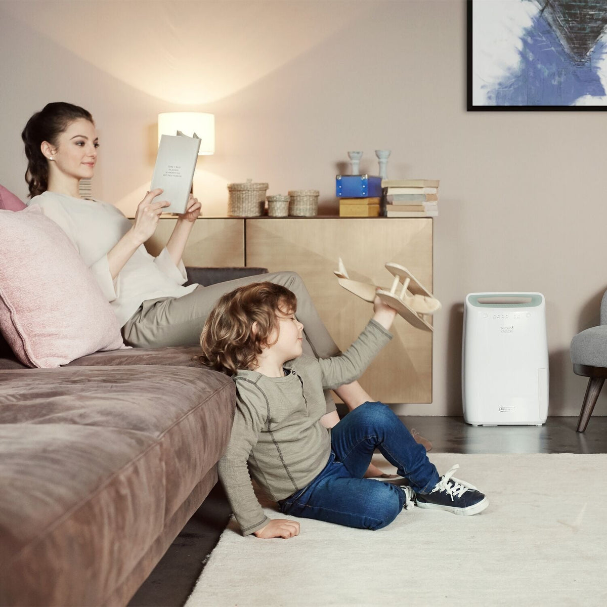 De’Longhi 12L Dehumidifier DEX212SF