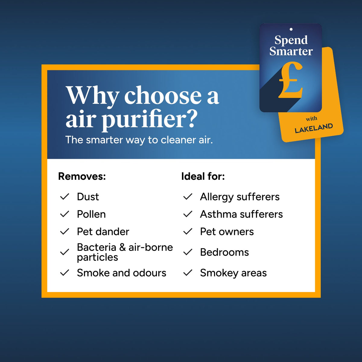 Lakeland Compact Air Purifier