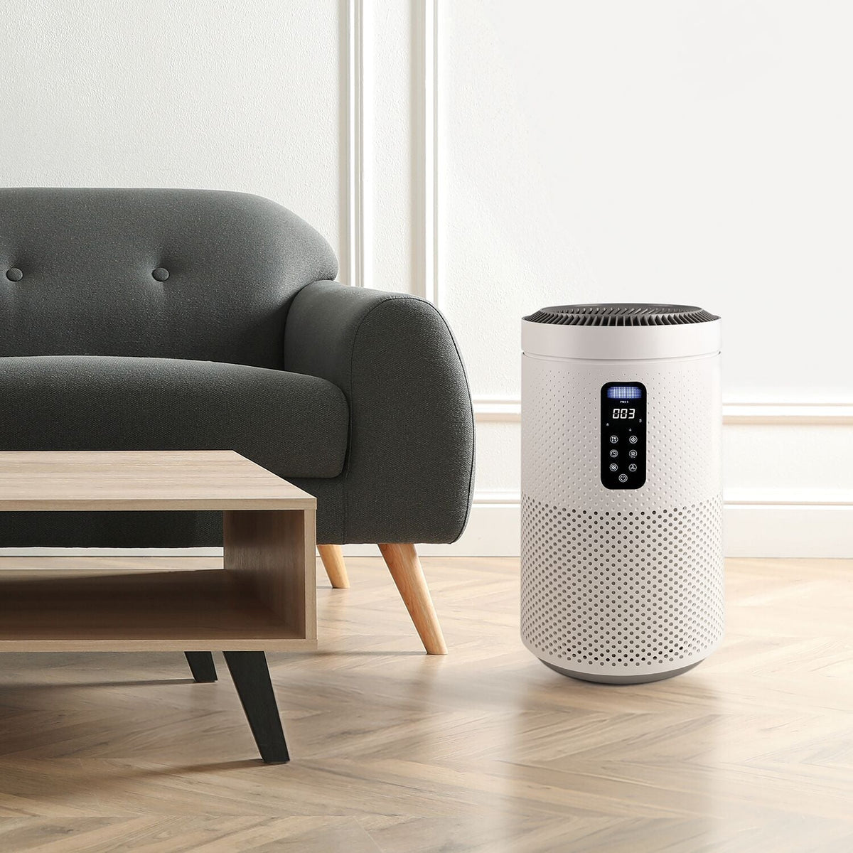 Lakeland Large Room Air Purifier