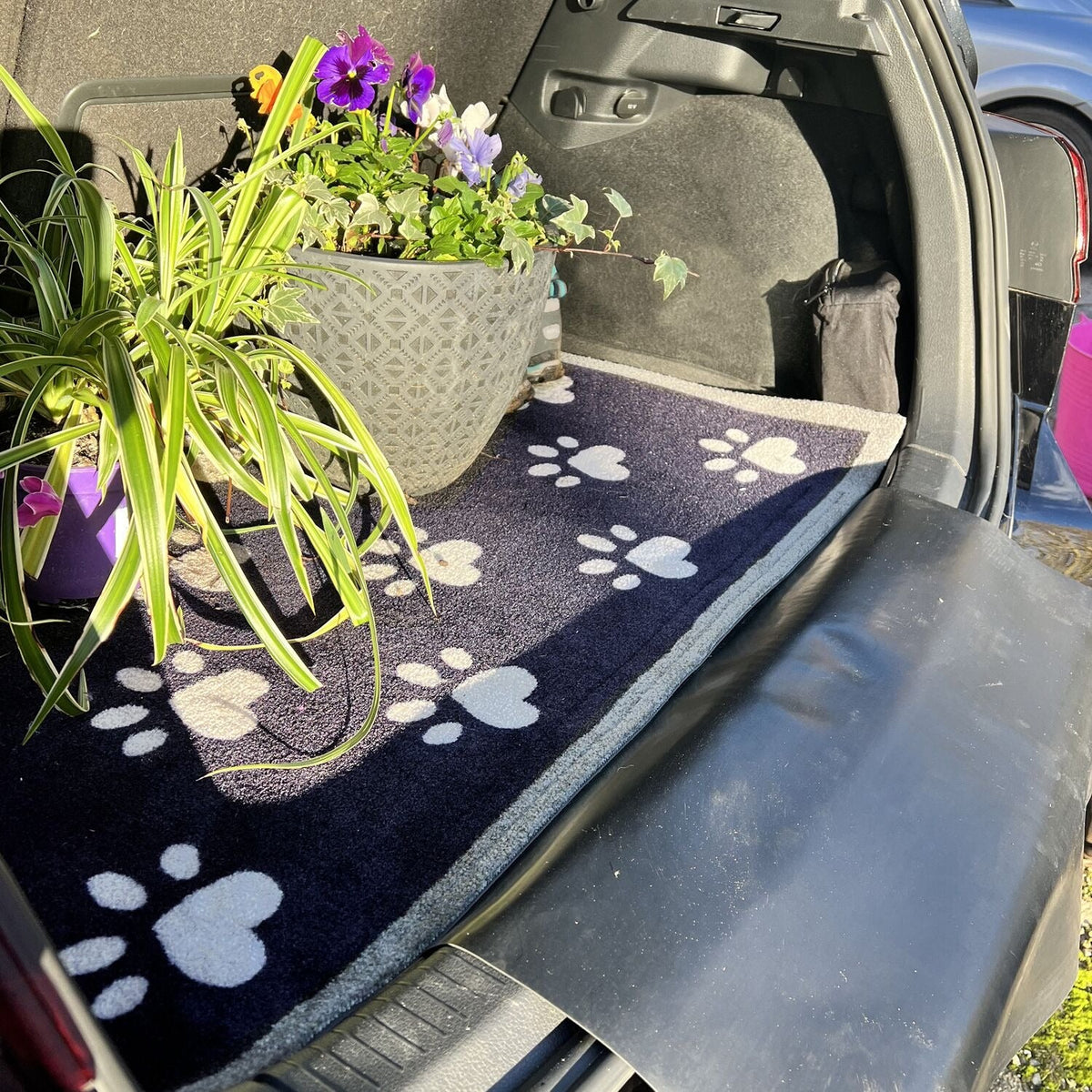Howler & Scratch Car Mat And Boot Protector