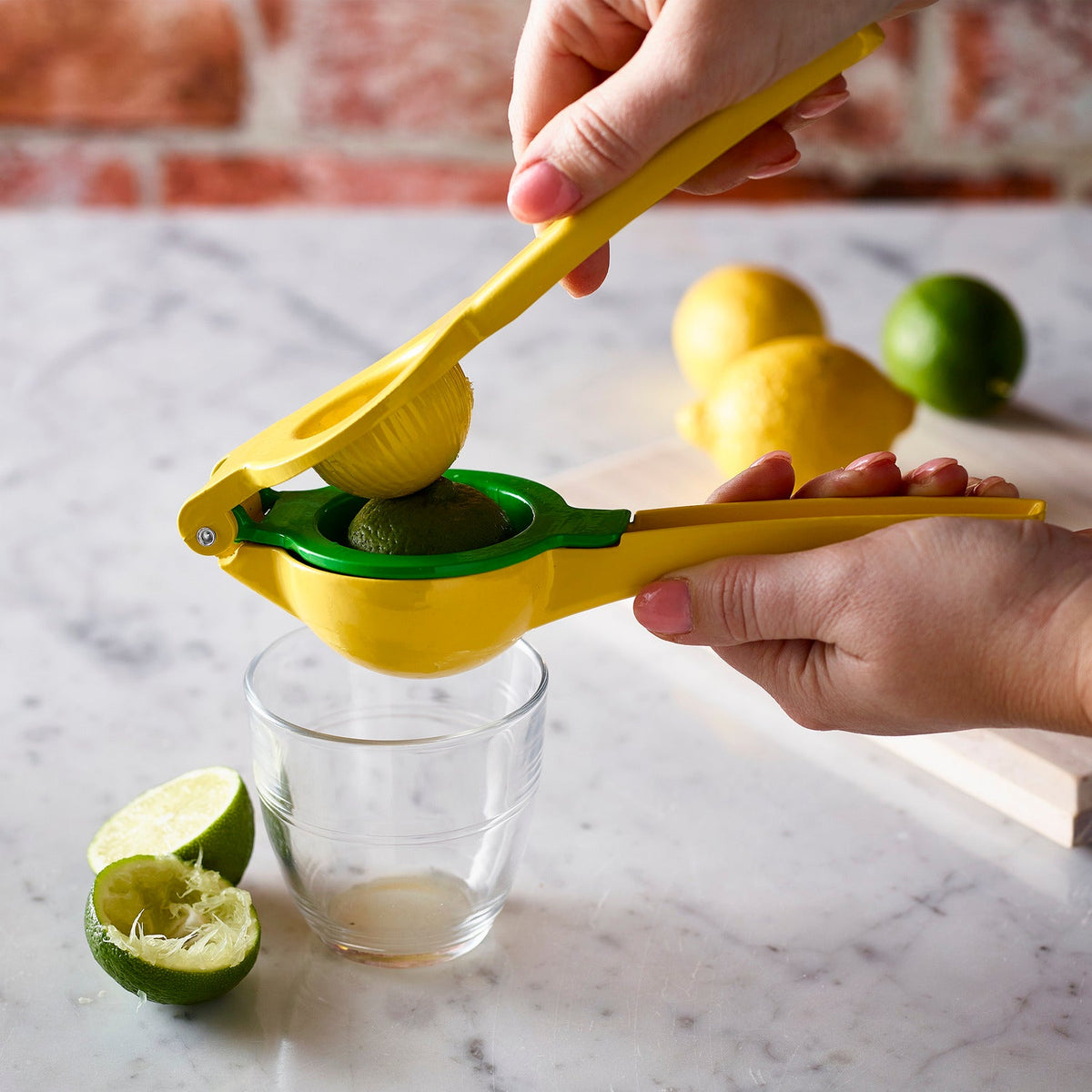 Lakeland Citrus Juicer