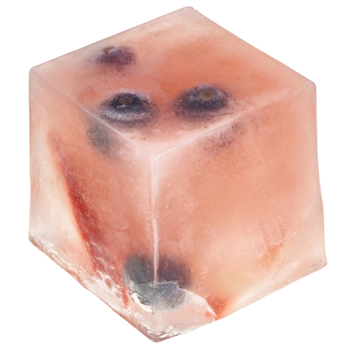 Lakeland Giant Ice Cube Tray