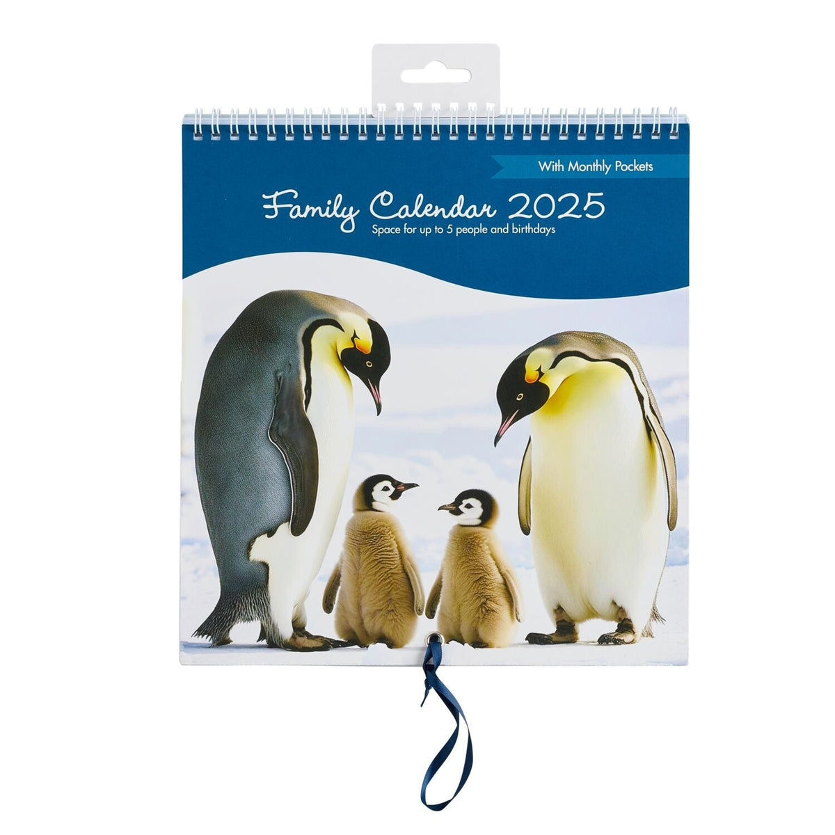 Busy B 2025 Family Calendar