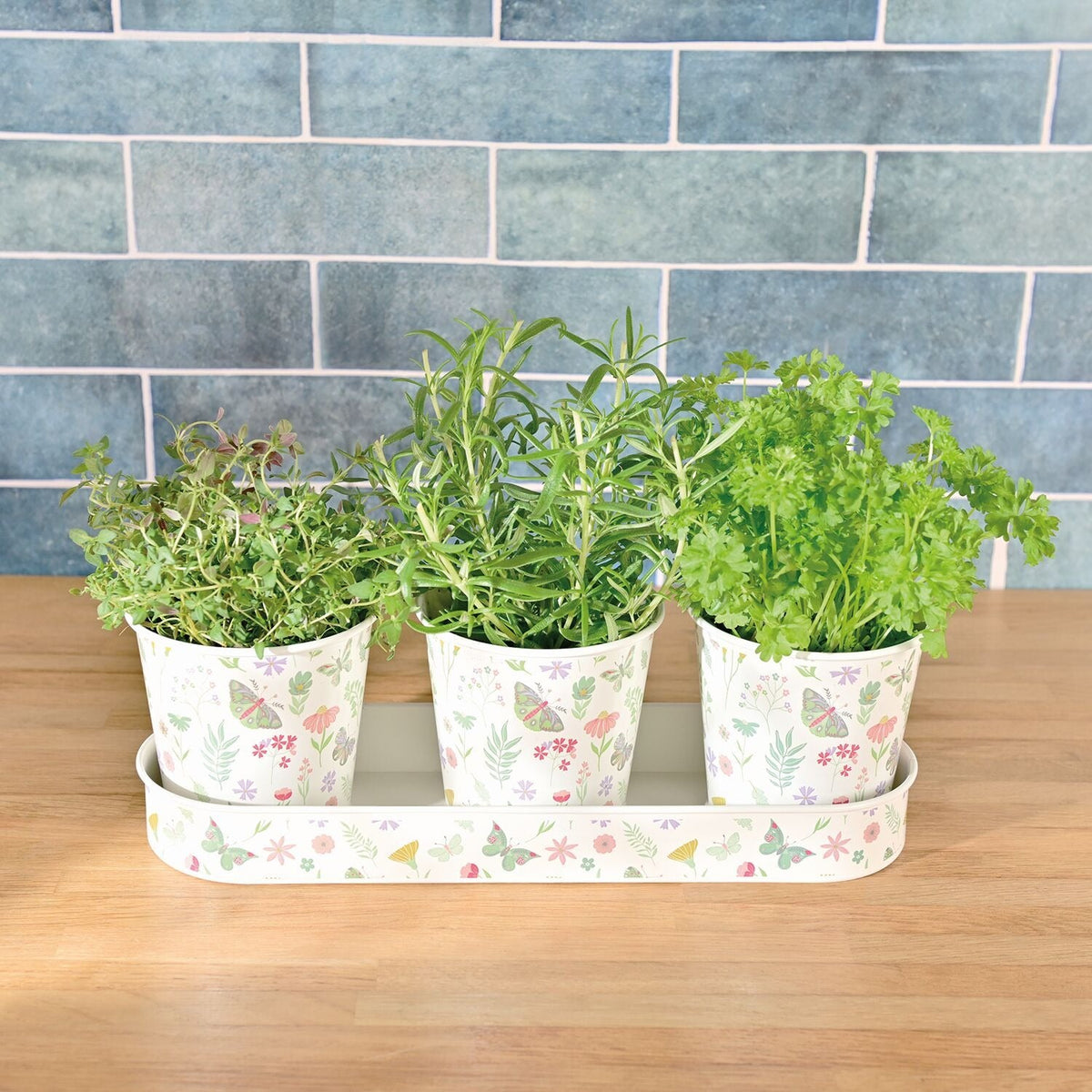 Lakeland Butterfly Garden Small Planters – Set of 3