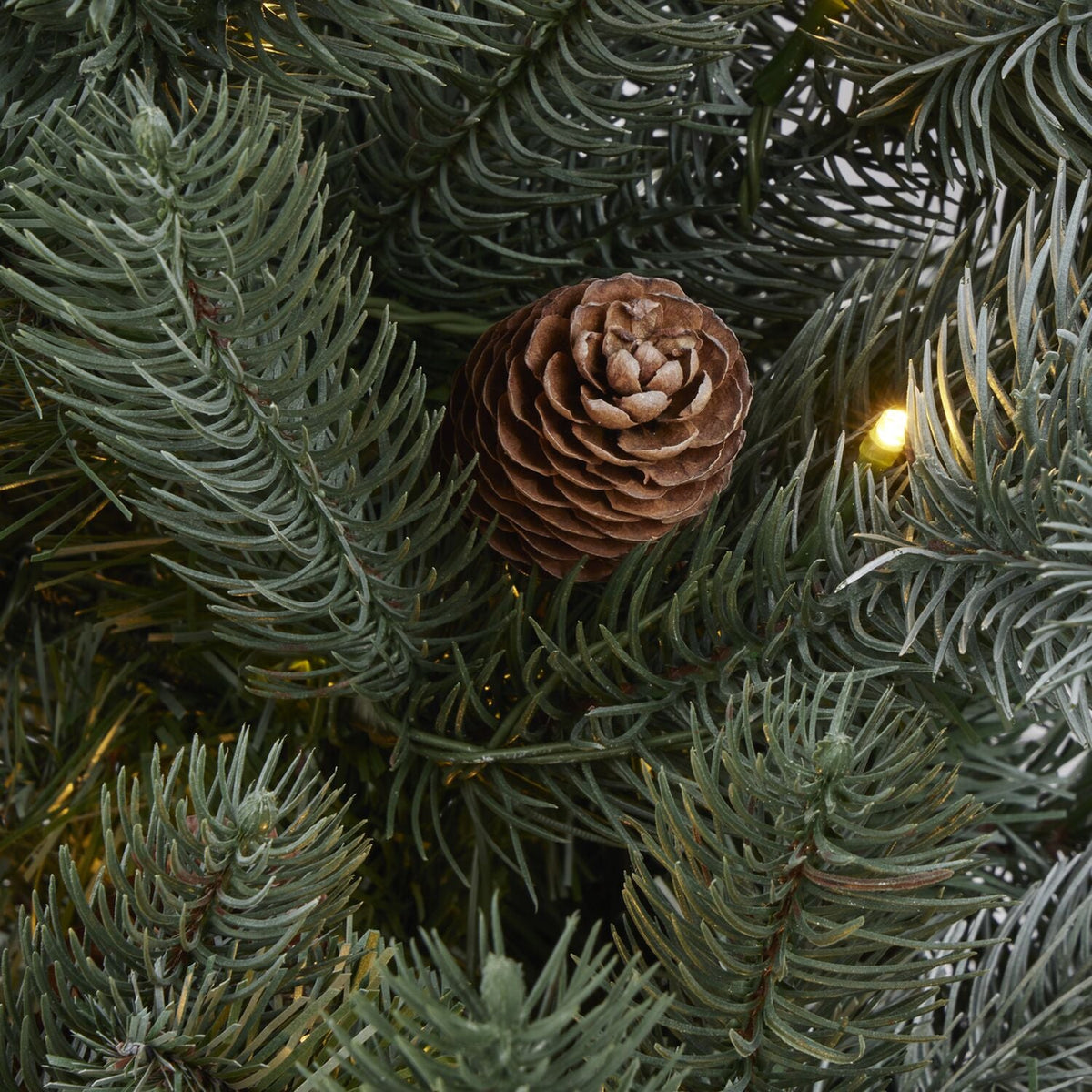 Lakeland Frosted Wisconsin Spruce Pre-Lit Christmas Tree 3ft