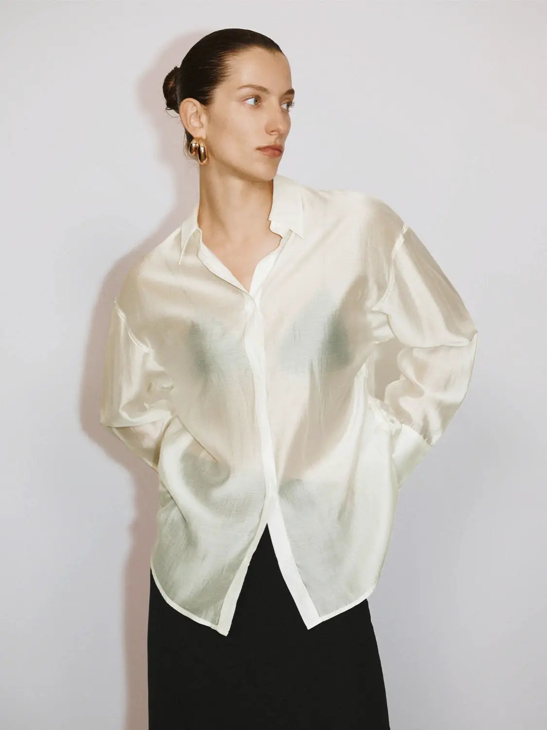 Point Collar Long Sleeve Button Front Sheer Loose Fit Shirt