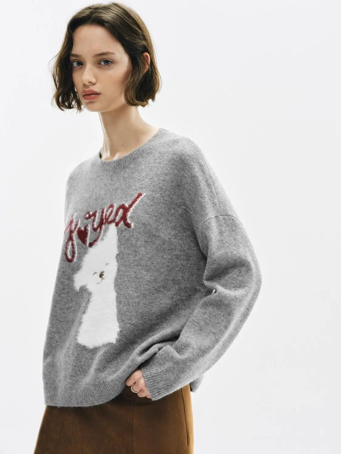 Animal Graphic Oversized Crew Neck Long Sleeve Sweater