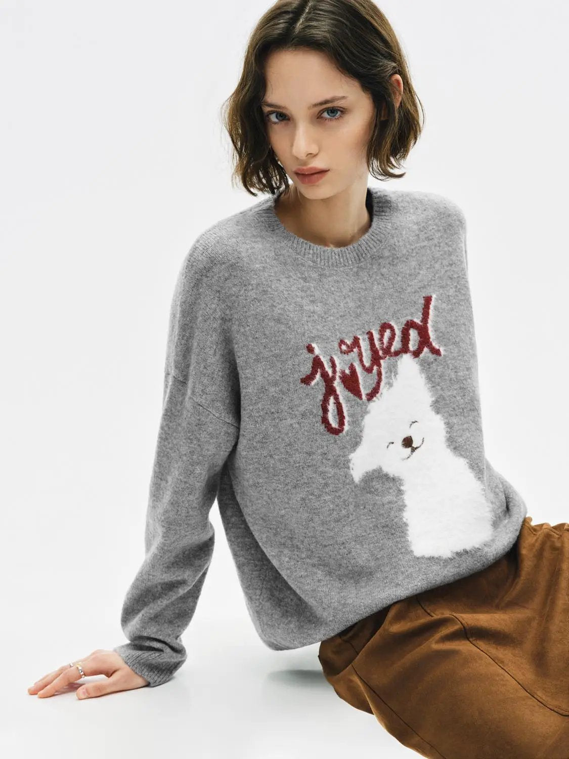 Animal Graphic Oversized Crew Neck Long Sleeve Sweater
