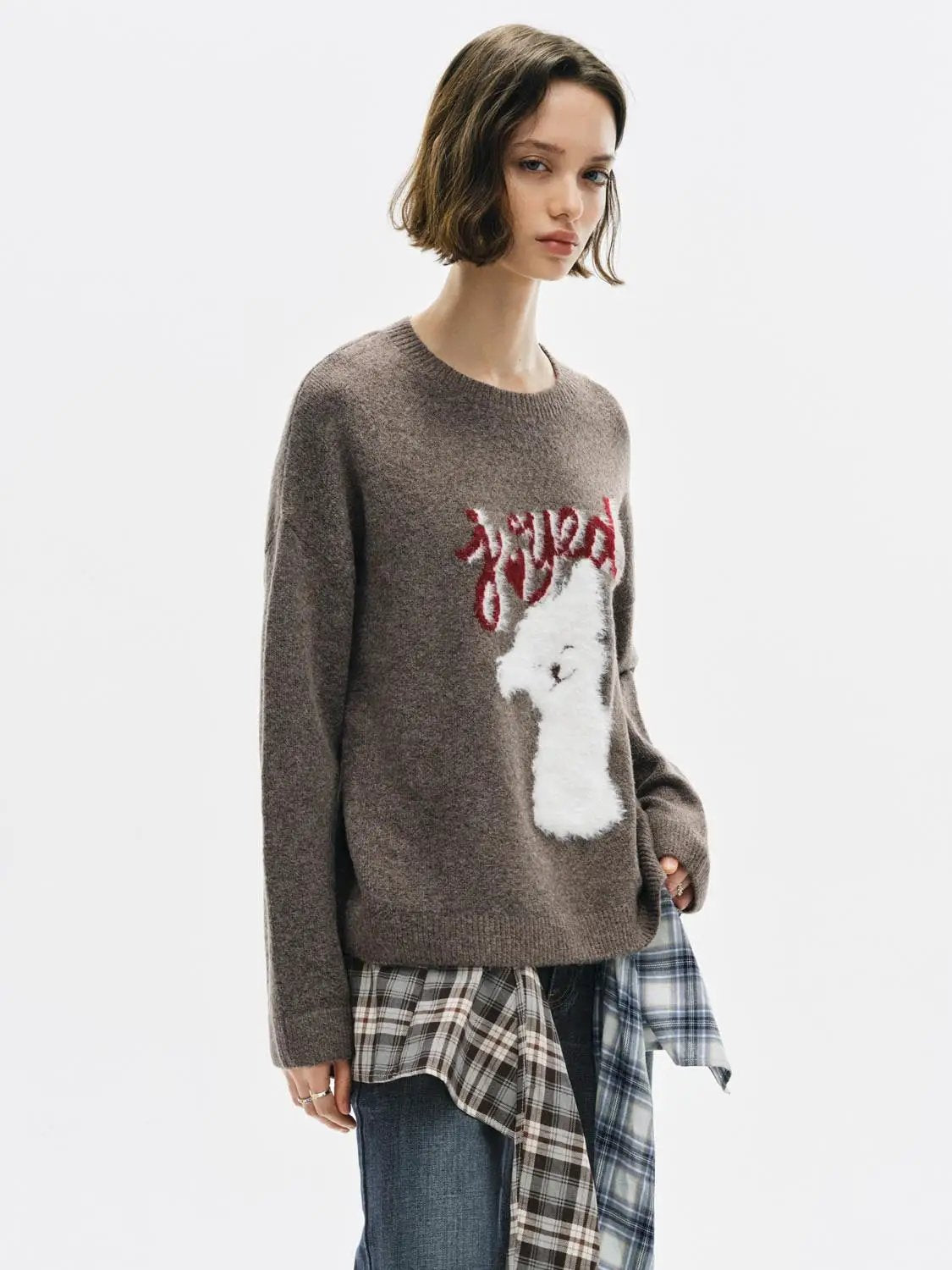Animal Graphic Oversized Crew Neck Long Sleeve Sweater
