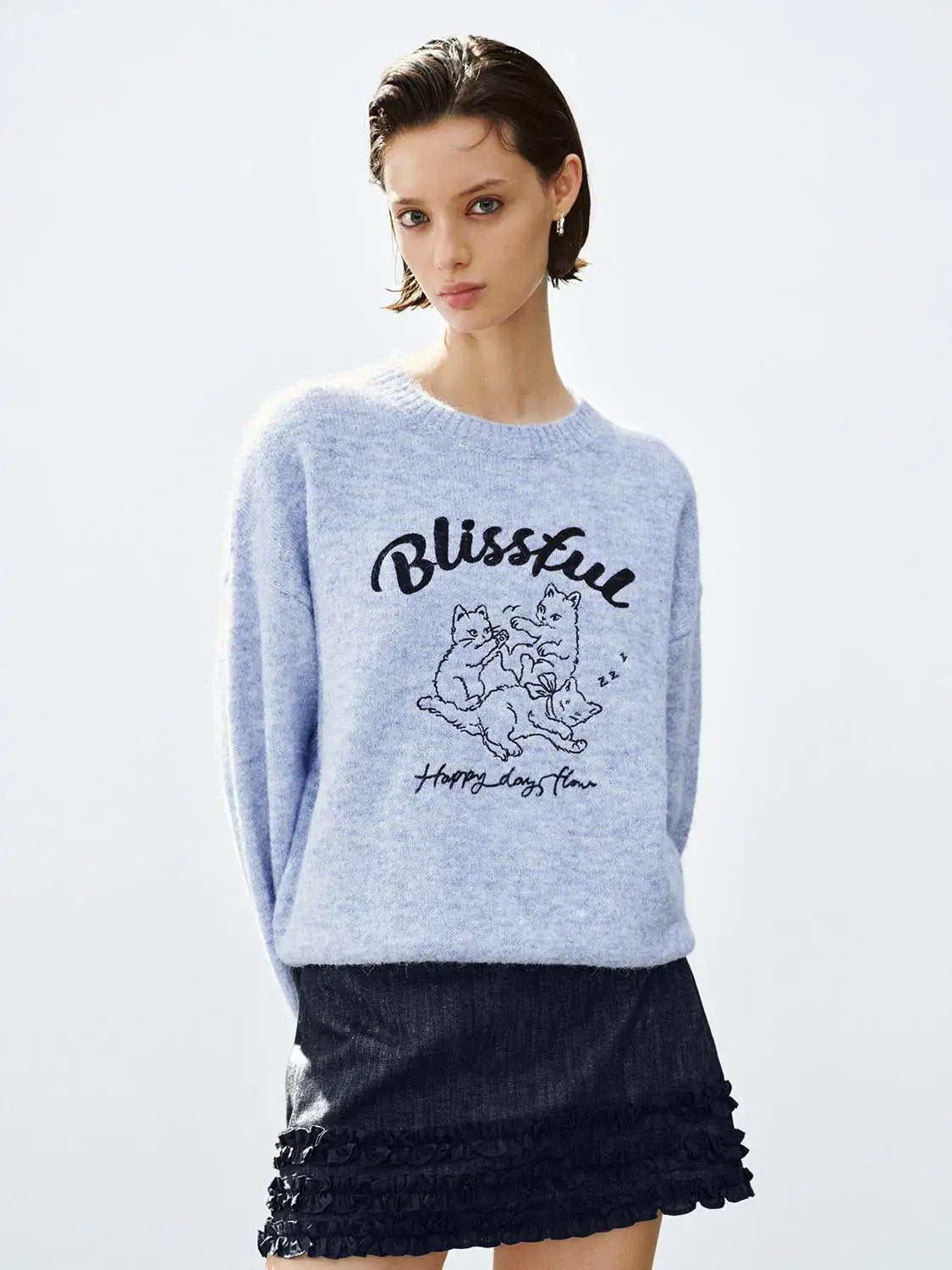 Graphic Print Crew Neck Long Sleeve Knit Sweater