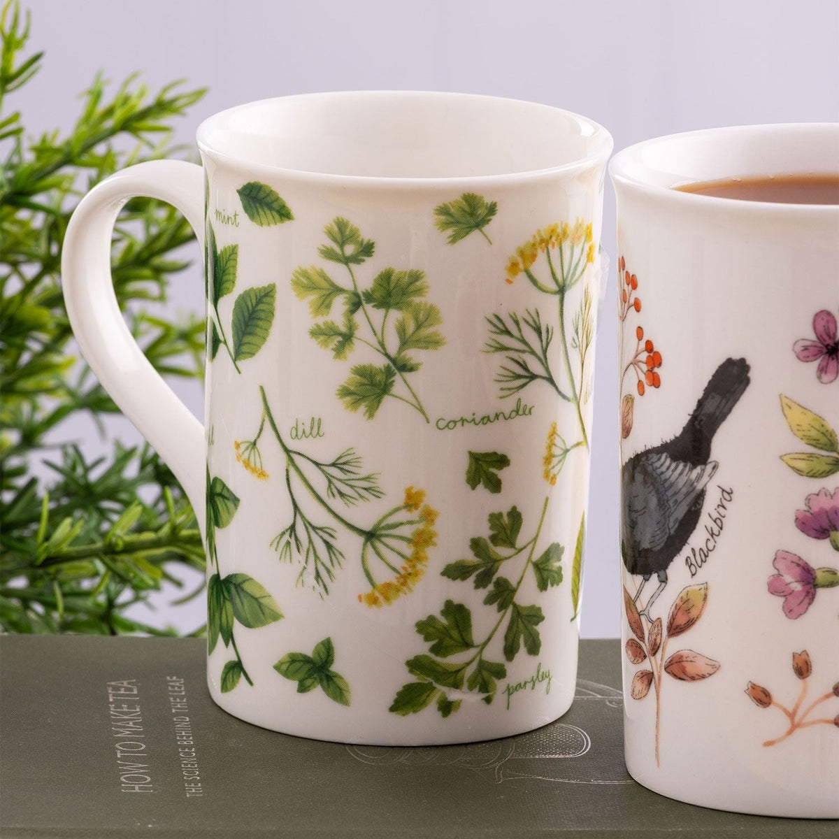 Garden Herbs Dill Mug 300ml