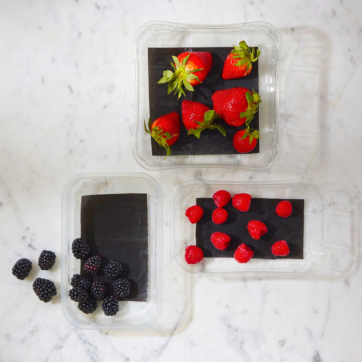StayFresh Absorbent Fruit Pads – Pack of 2