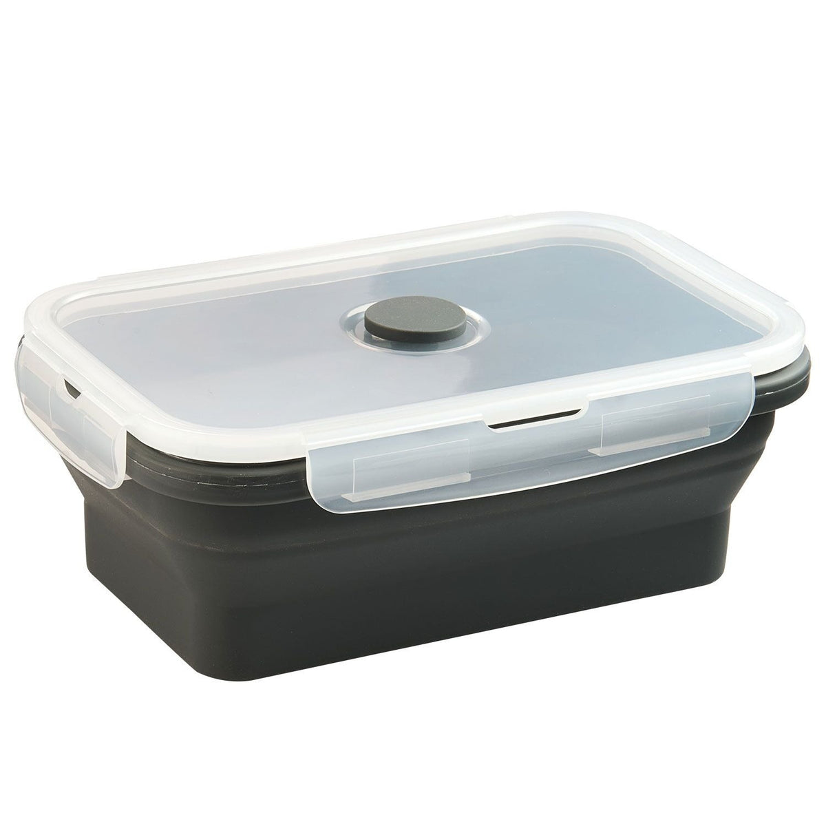 Lakeland Stashaway Collapsible Food Storage Container 1.2L