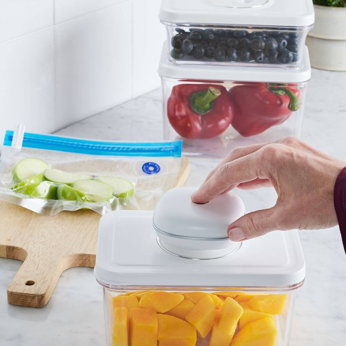 StayFresh Handheld Vacuum Sealer