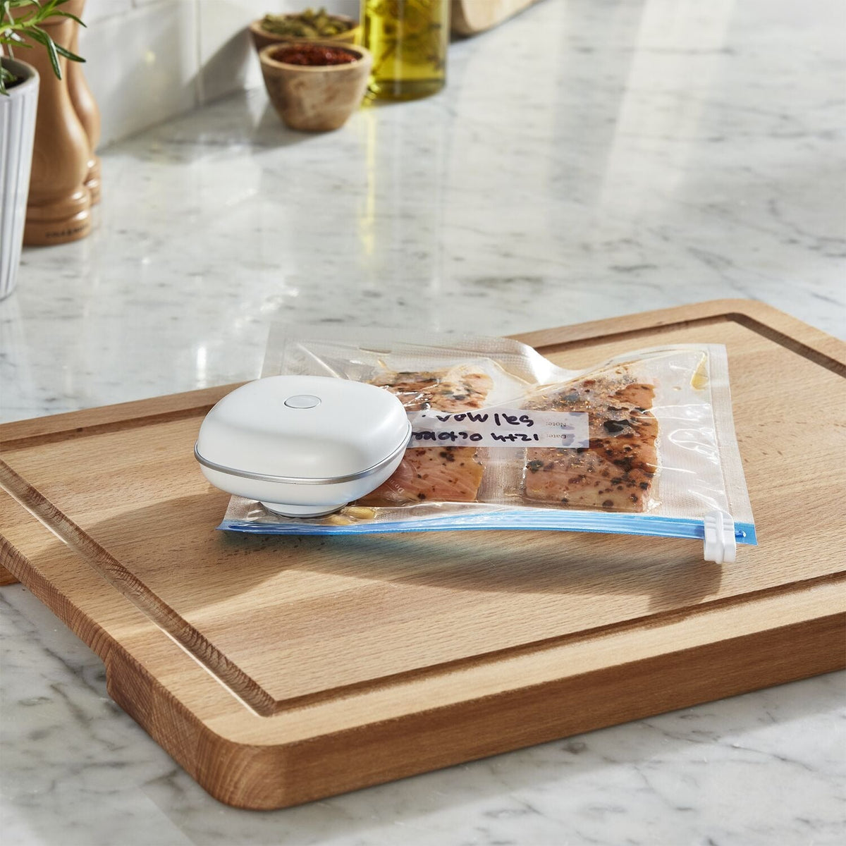 StayFresh Handheld Vacuum Sealer