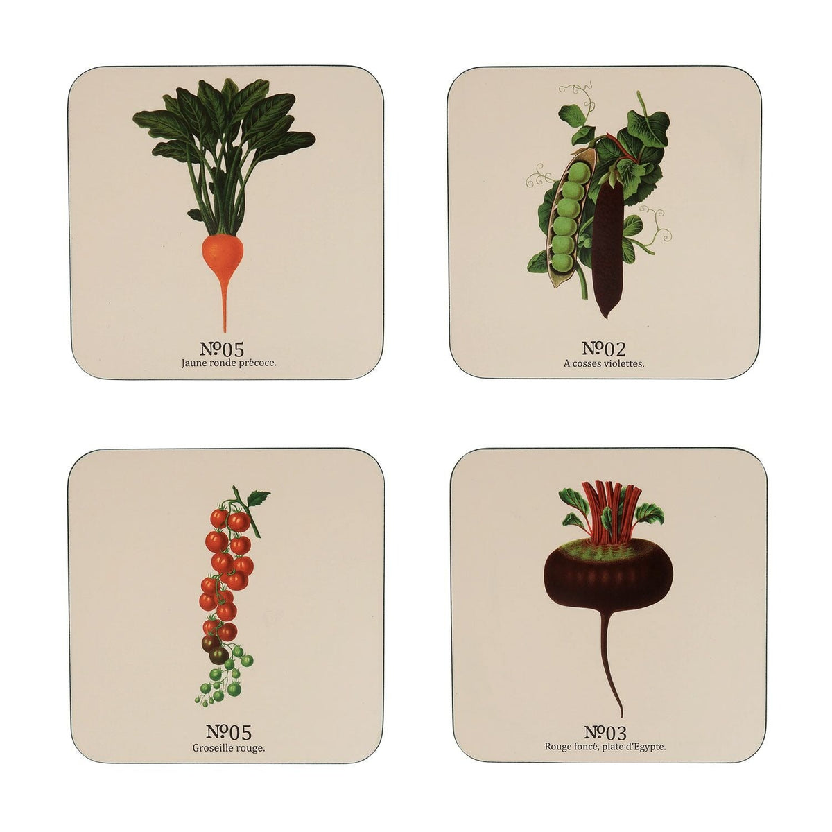RHS Benary Vegetables 4 Coasters