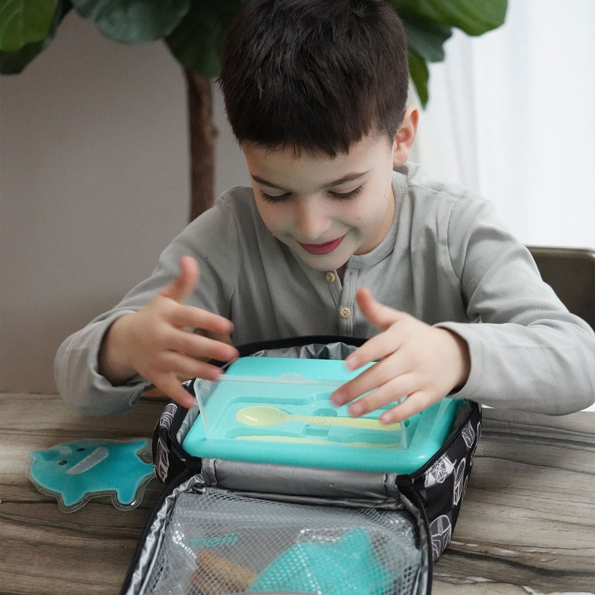 Melii 2 Tier Bento Box with 6 Compartments – Blue and Mint