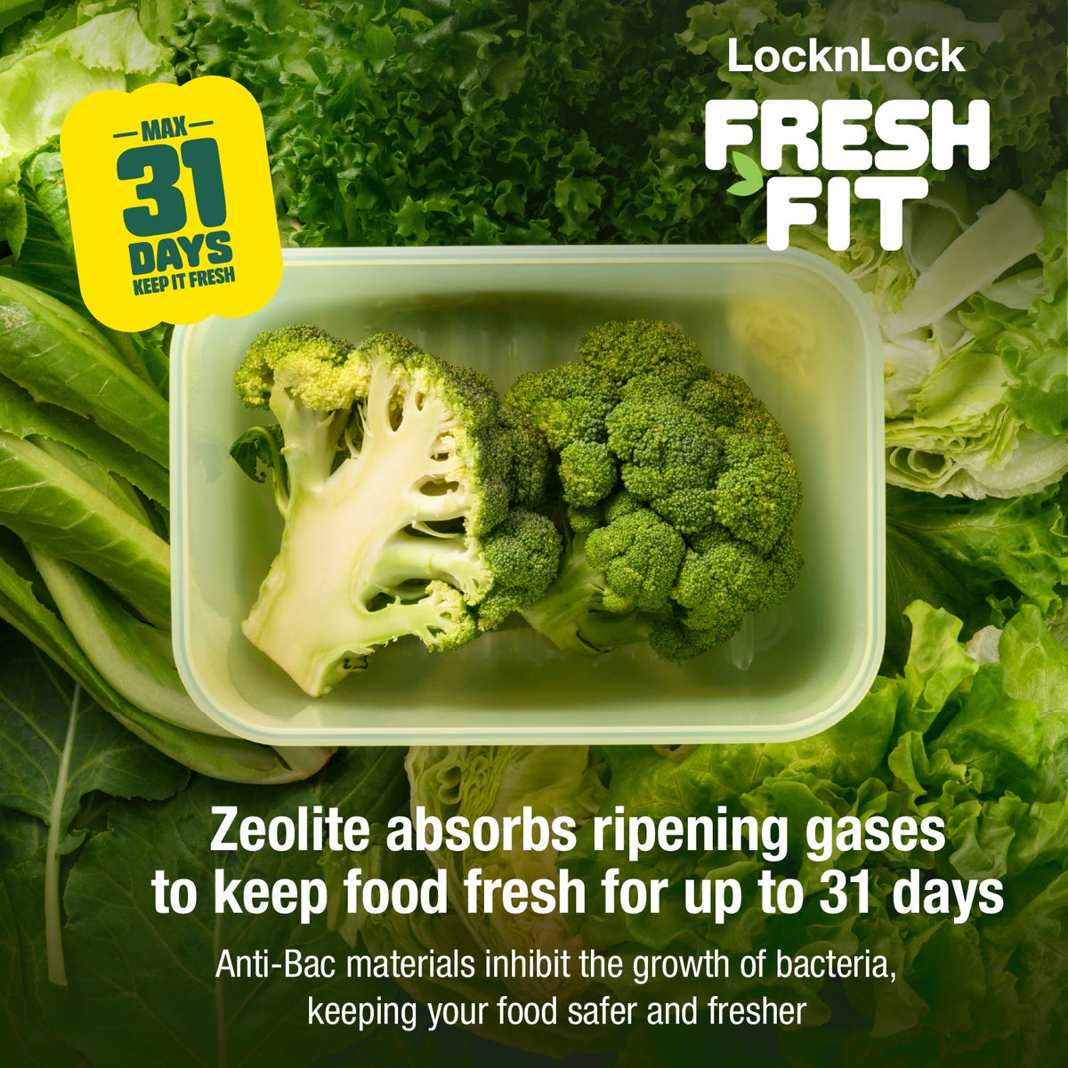 LocknLock FreshFit Food Container 1.5L – Set of 2