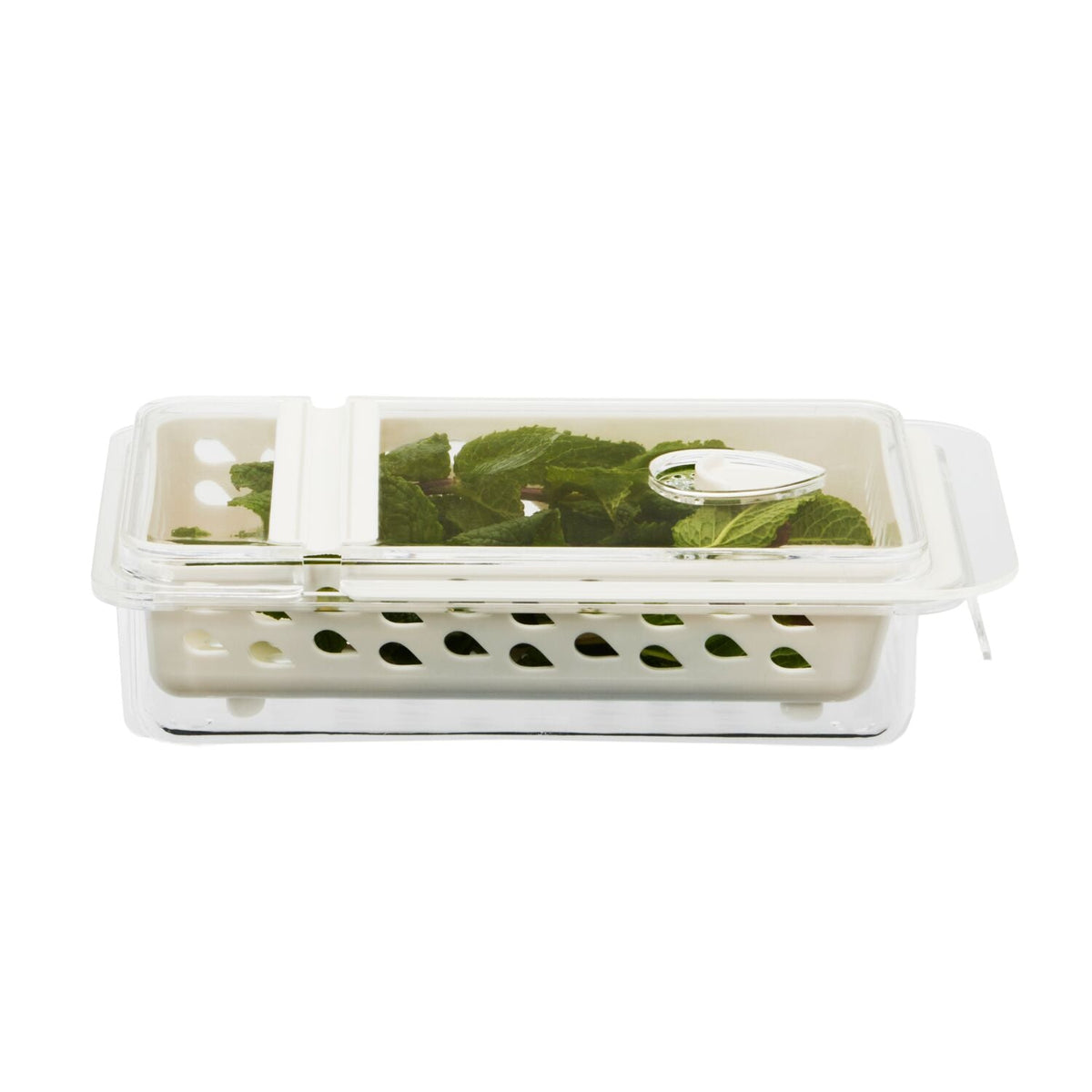 Lakeland StayFresh Herb Keeper