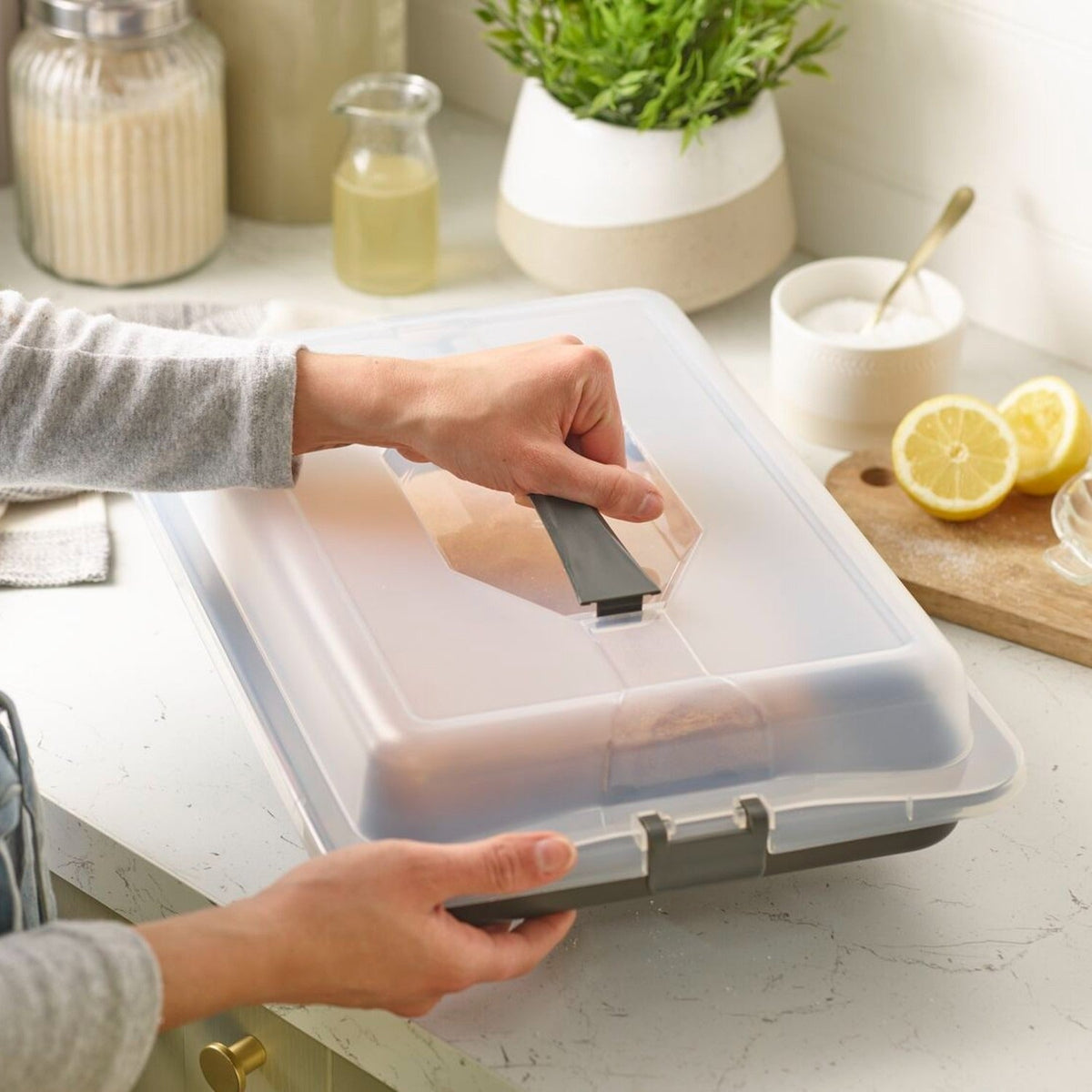 Lakeland Traybake Cake Caddy & Cupcake Carrier