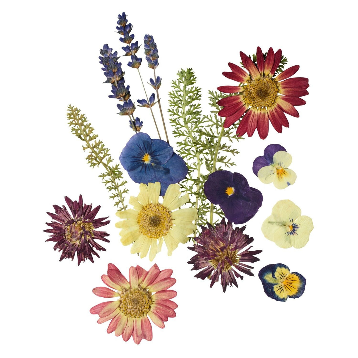 Edible Pressed Flowers and Leaves