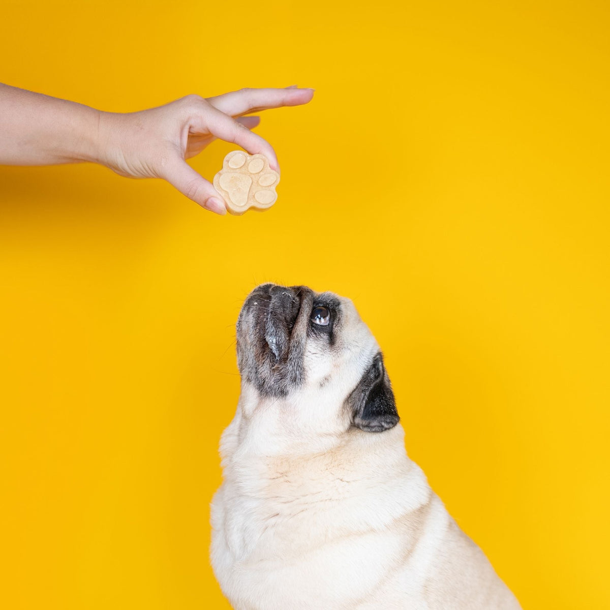 Dog and Bond Doggy Ice Cream Mix - Peanut Butter