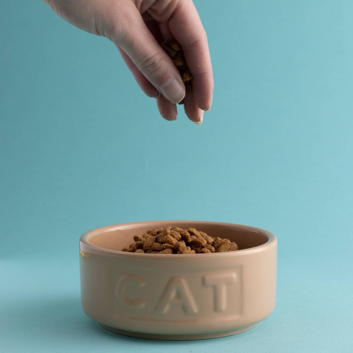 Mason Cash Cane Lettered Cat Bowl - 13cm