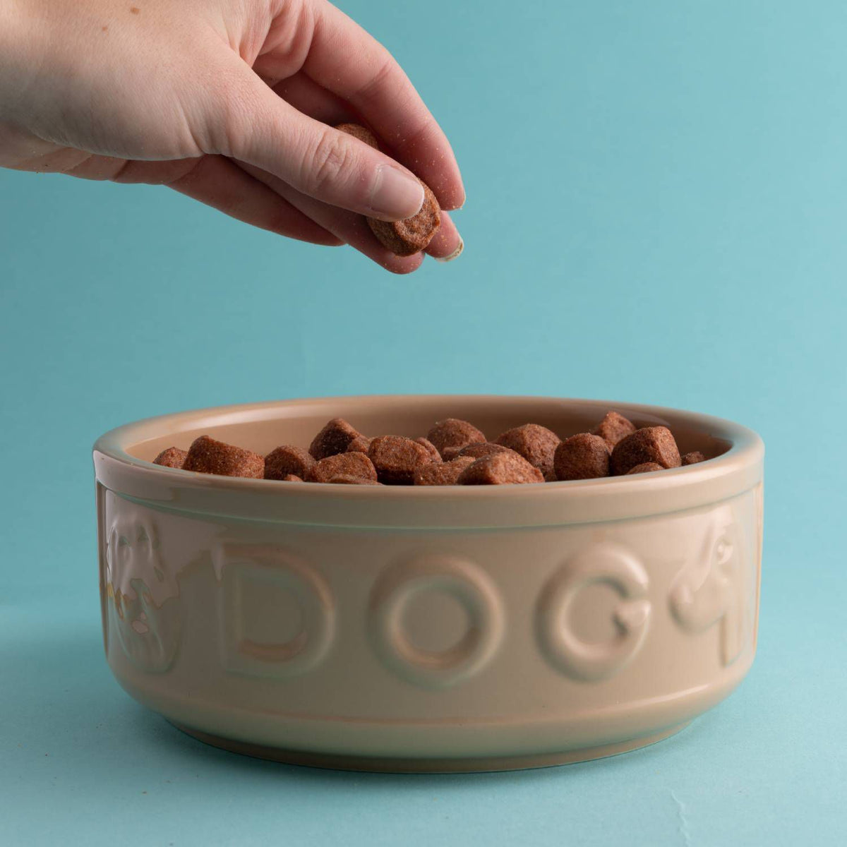 Mason Cash Cane Lettered Dog Bowl - 18cm