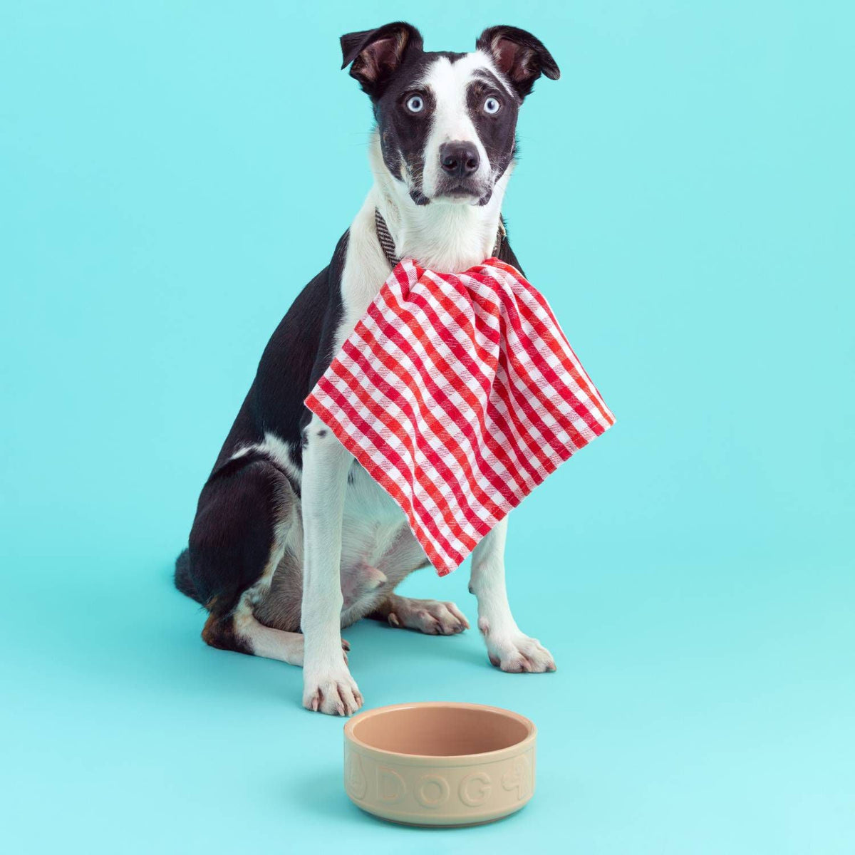 Mason Cash Cane Lettered Dog Bowl - 18cm