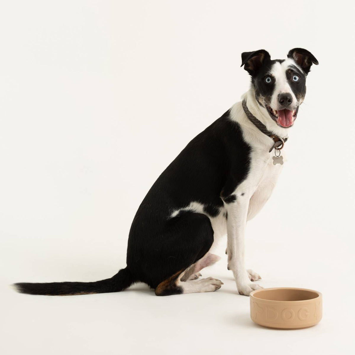 Mason Cash Cane Lettered Dog Bowl - 18cm