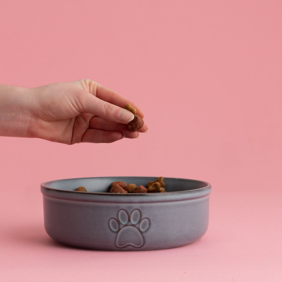 Mason Cash Reactive Large Dog Bowl - 18cm