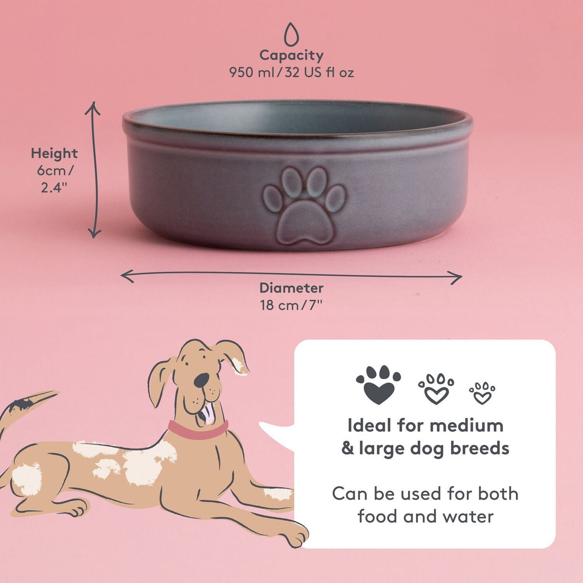Mason Cash Reactive Large Dog Bowl - 18cm