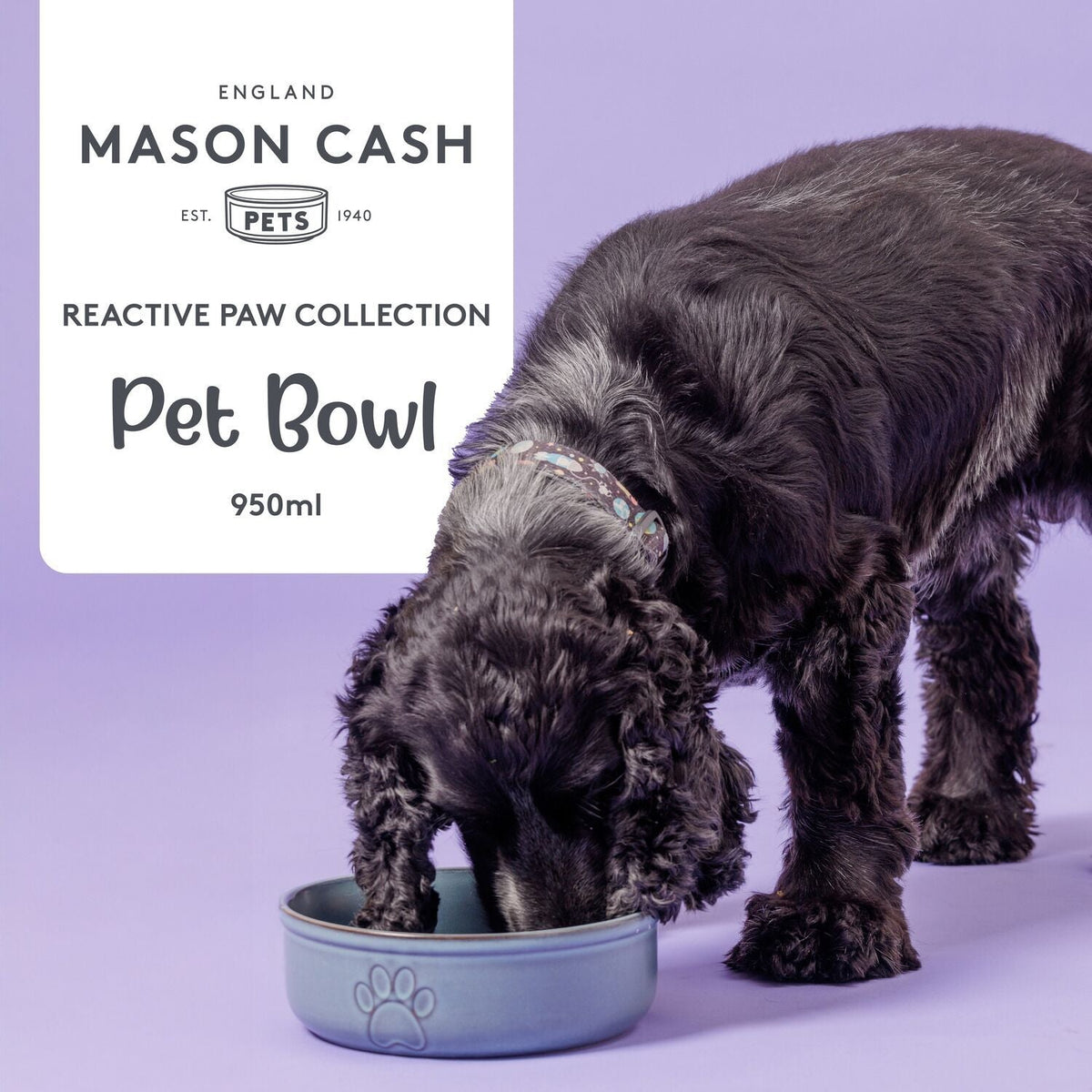 Mason Cash Reactive Large Dog Bowl - 18cm