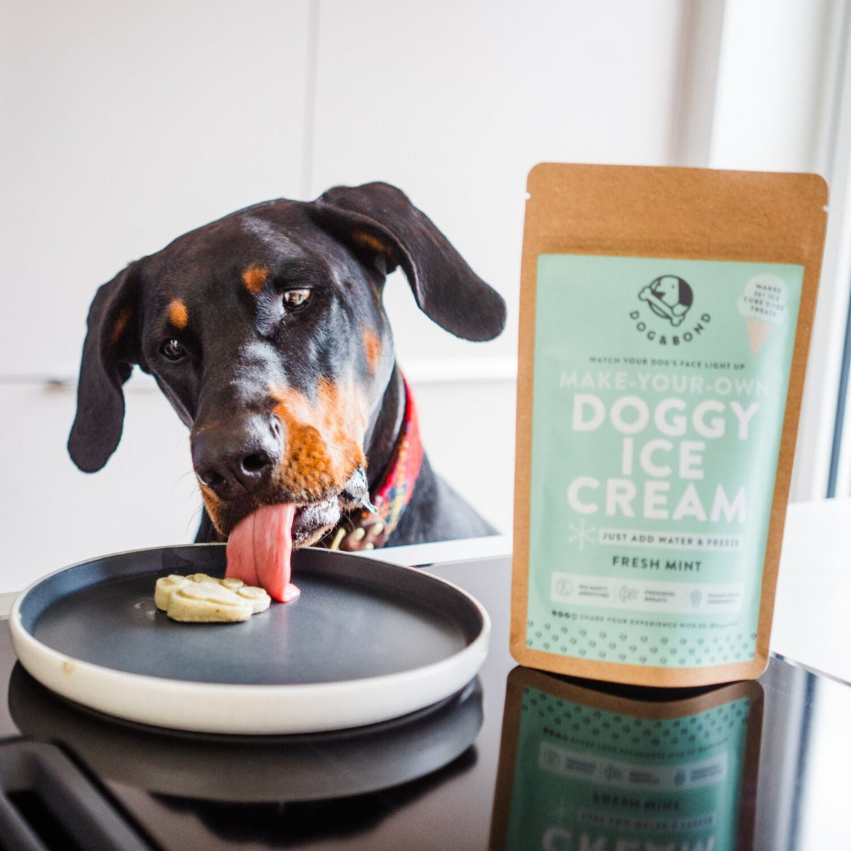 Dog & Bond Doggy Ice Cream Mint