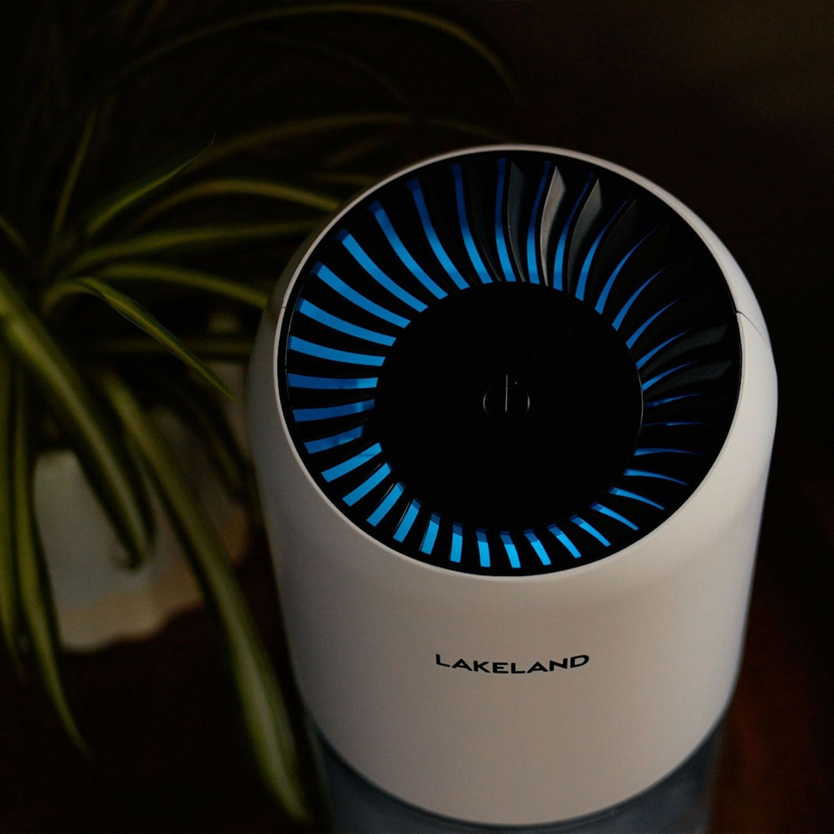 Lakeland 1L Compact Dehumidifier