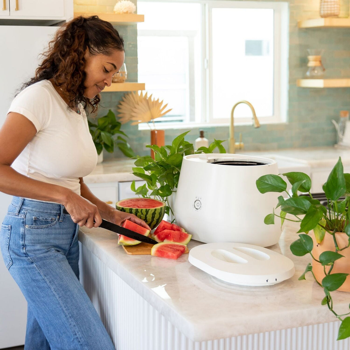 Lomi Classic Kitchen Composter