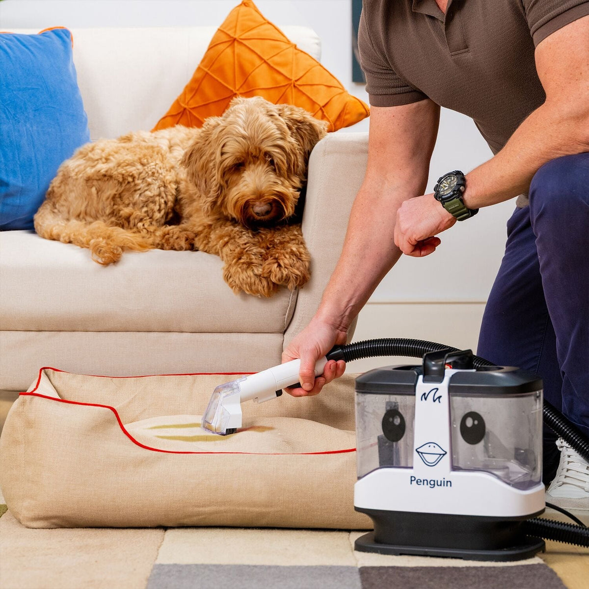 Gtech Penguin Spot Cleaner