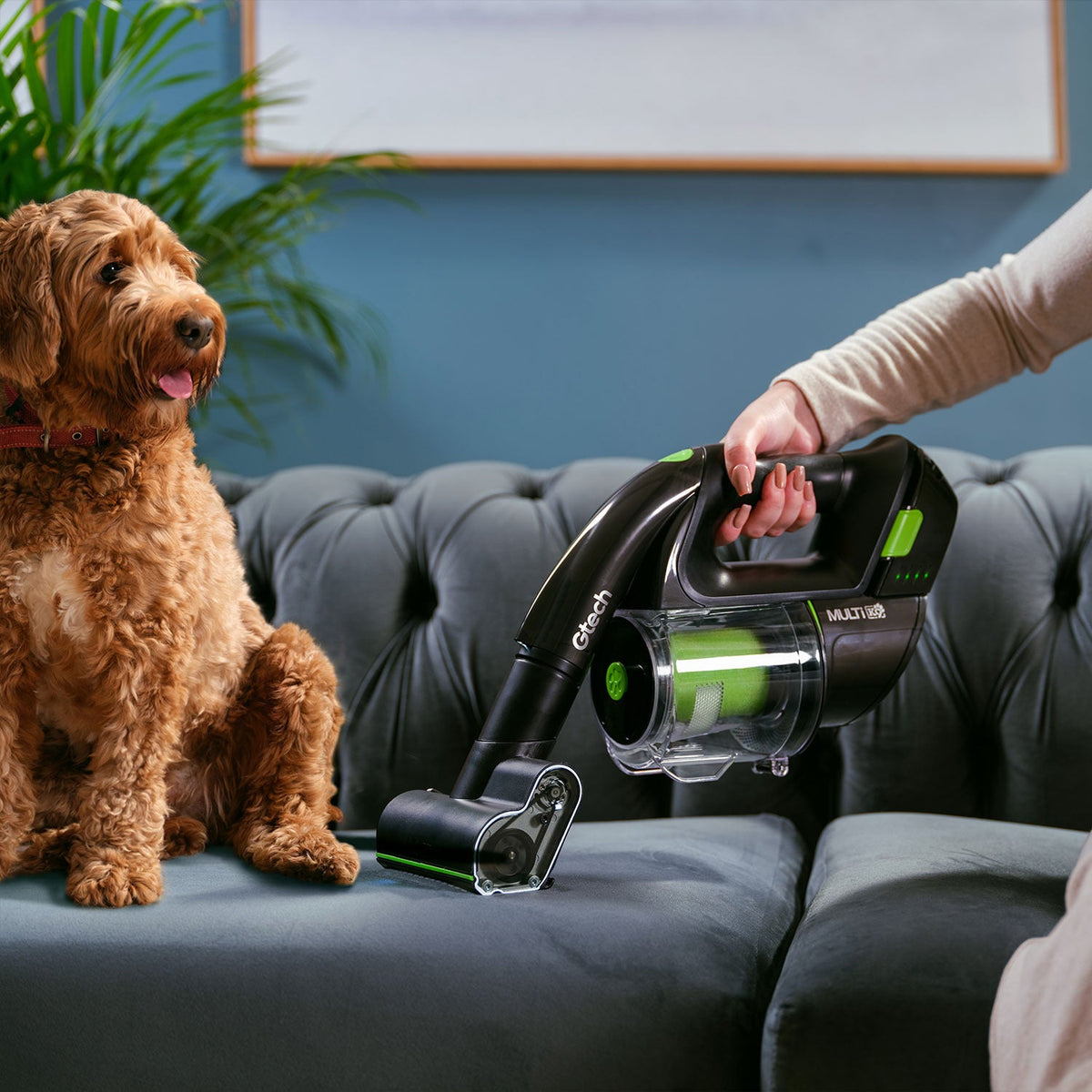 Gtech Multi K9 Cordless Handheld Pet Vacuum