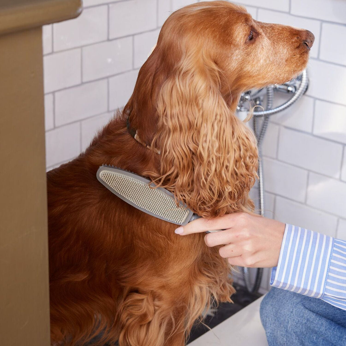 Lakeland Fancy Fur Pet Brush