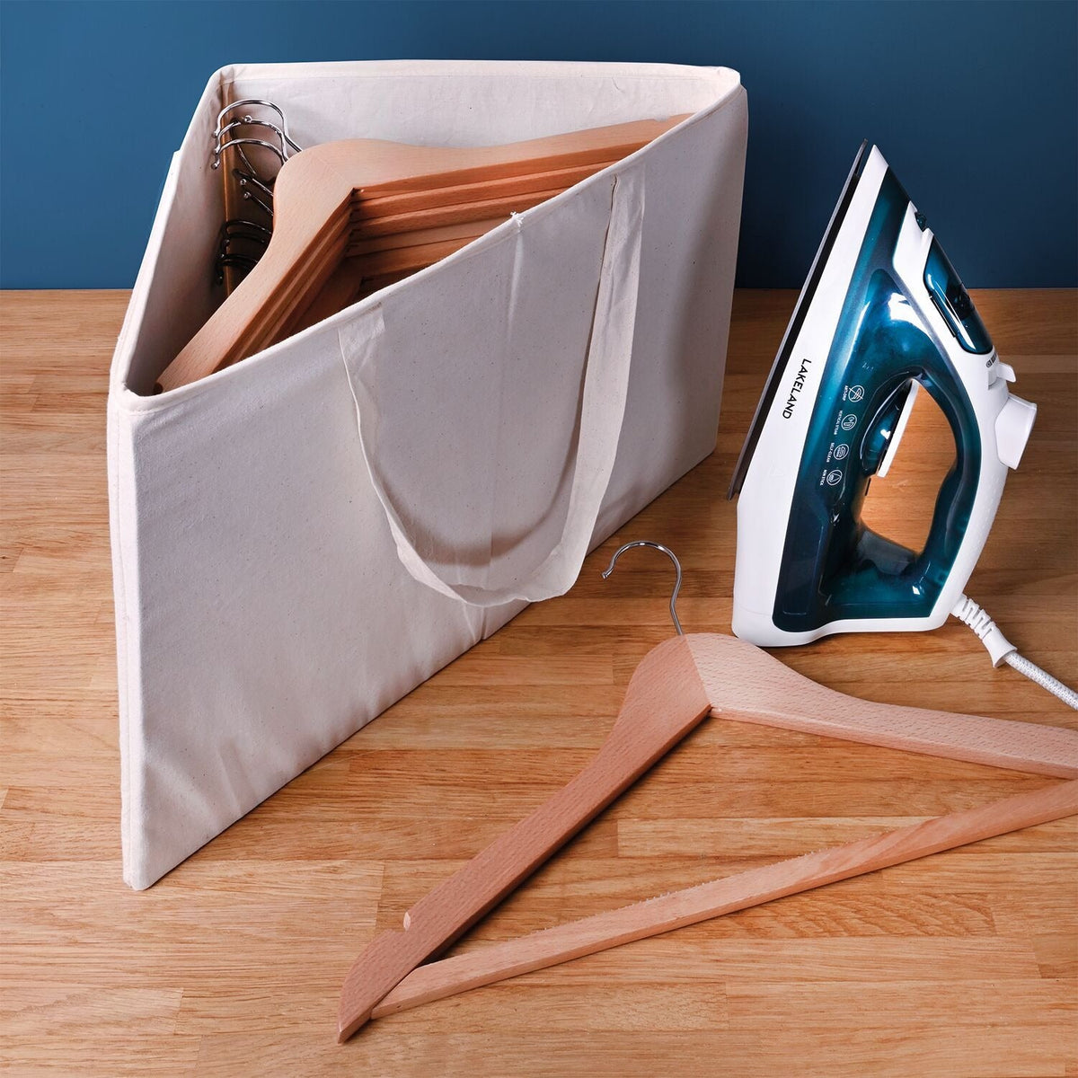 Lakeland Foldable Hanger Storage Bag