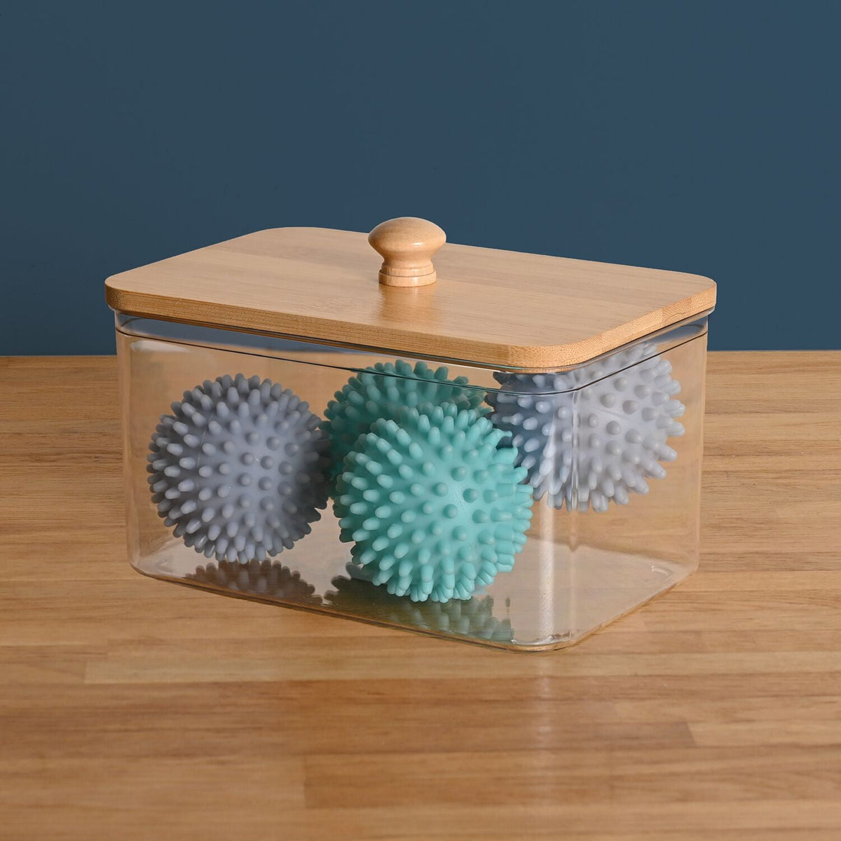Lakeland Large Clearview Utility Storage Container