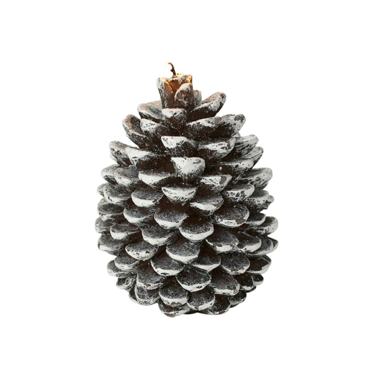 Frosted Pine Cone Christmas Candle 12cm